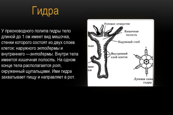 Kraken все зеркала ссылки