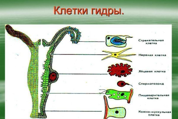 Как восстановить доступ к аккаунту кракен